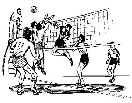 volleyball ѵ ѵ ѵԡ ѵ