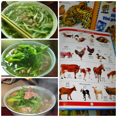 เที่ยวฮานอย