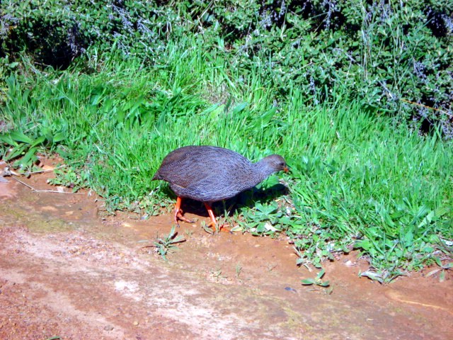 Posted Image