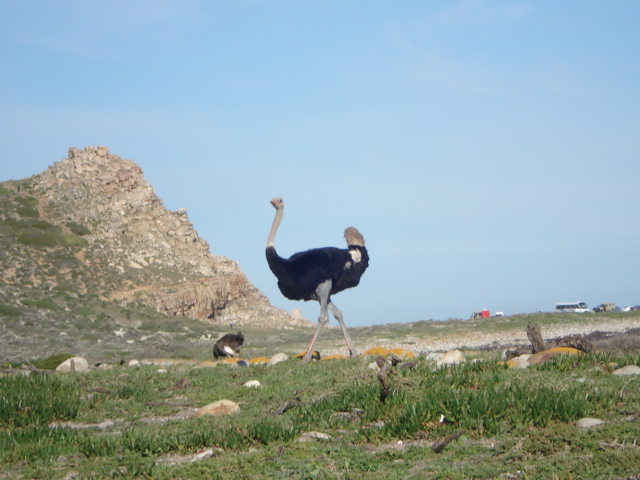 Posted Image