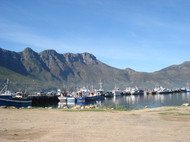 Posted Image