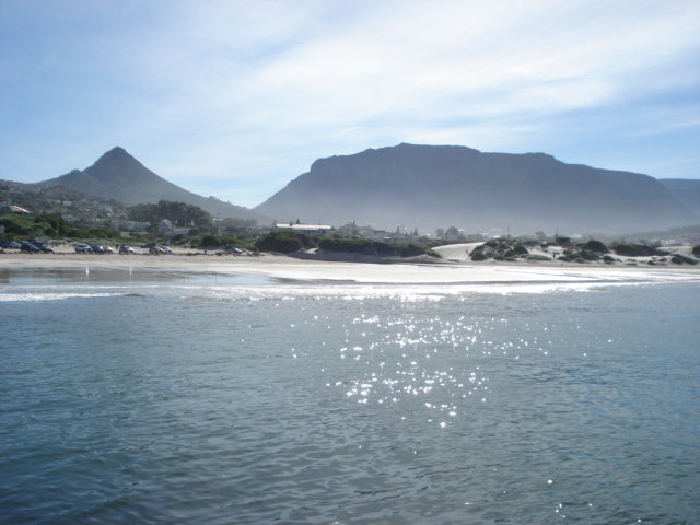Posted Image