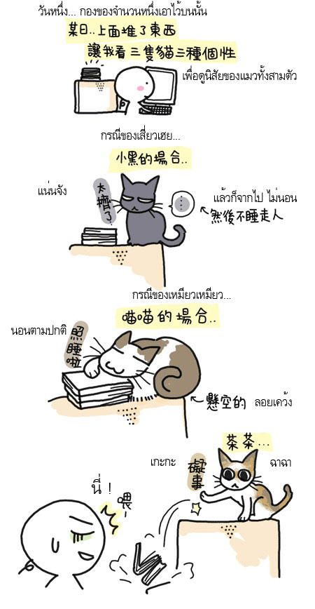 WANWAN