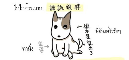 WANWAN