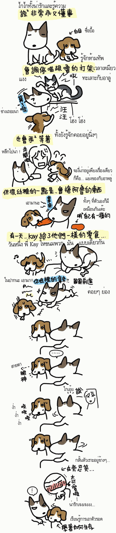 WANWAN