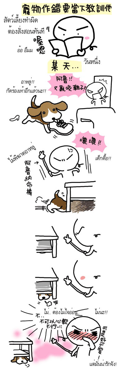 WANWAN