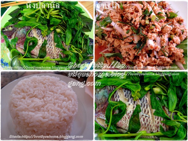 Posted Image