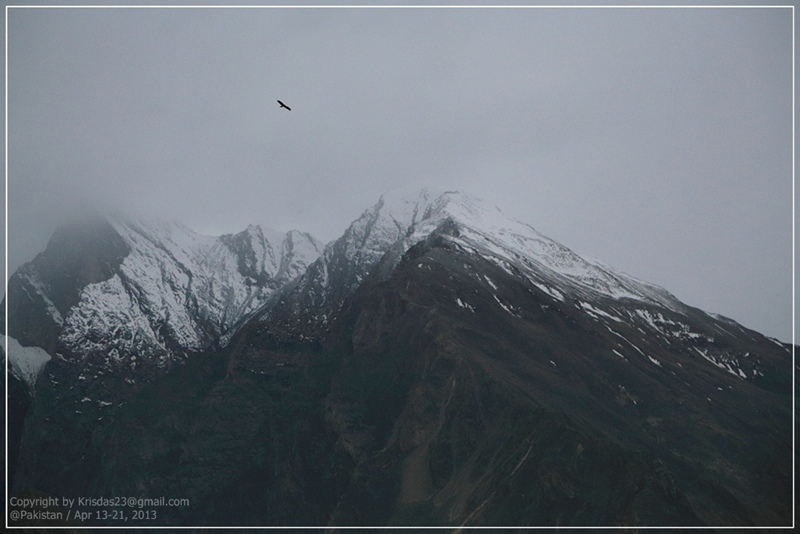 Pakistan 12