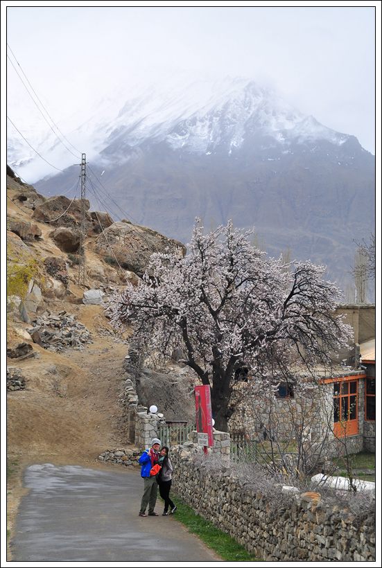 Pakistan 14
