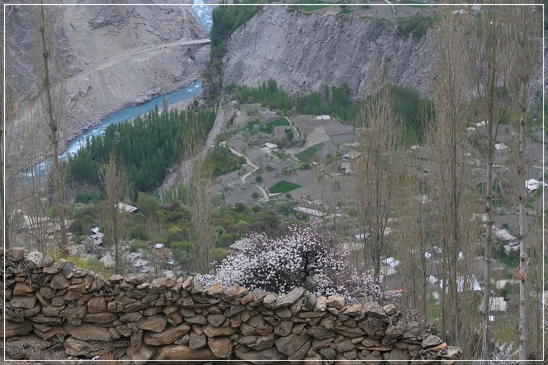 Pakistan 19
