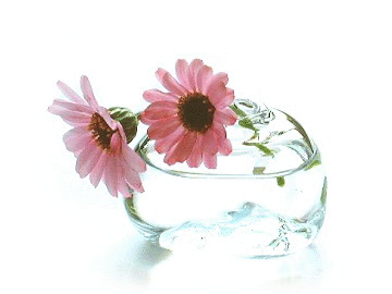 http://www.bloggang.com/data/forreng/picture/1213195614.gif