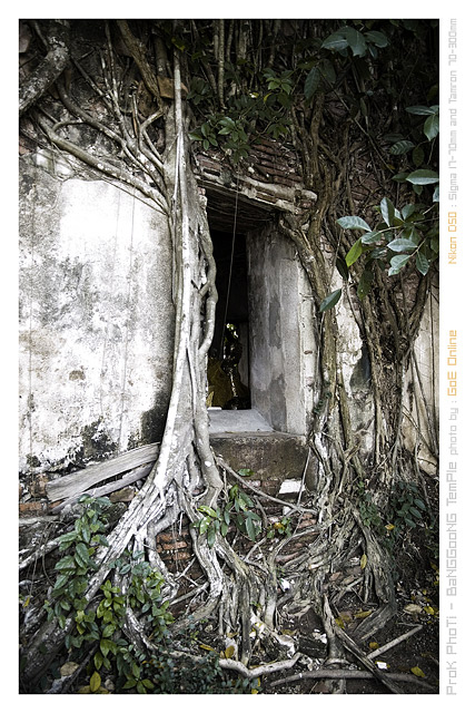 รูปภาพ