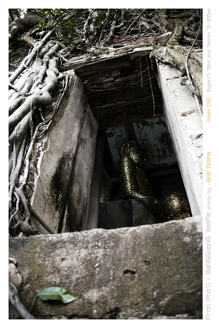 รูปภาพ