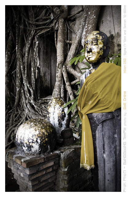 รูปภาพ