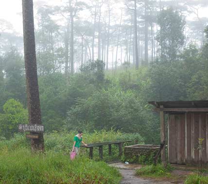 ภูสอยดาว ป่าสงวนแห่งชาติป่าน้ำปาด ท้องที่ตำบลม่วงเจ็ดต้น ตำบลนาขุม ตำบลบ้านโคก อำเภอบ้านโคก ตำบลห้วยมุ่น อำเภอน้ำปาด จังหวัดอุตรดิตถ์ ตำบลบ่อภาค อำเภอชาติตระการ จังหวัดพิษณุโลก