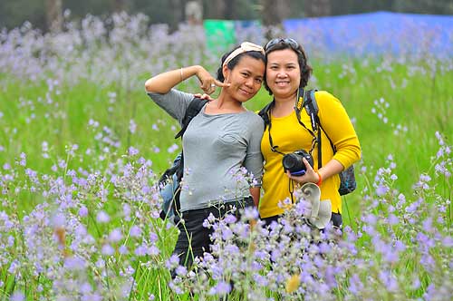 ภูสอยดาว ป่าสงวนแห่งชาติป่าน้ำปาด ท้องที่ตำบลม่วงเจ็ดต้น ตำบลนาขุม ตำบลบ้านโคก อำเภอบ้านโคก ตำบลห้วยมุ่น อำเภอน้ำปาด จังหวัดอุตรดิตถ์ ตำบลบ่อภาค อำเภอชาติตระการ จังหวัดพิษณุโลก