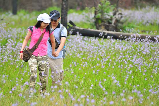 ภูสอยดาว ป่าสงวนแห่งชาติป่าน้ำปาด ท้องที่ตำบลม่วงเจ็ดต้น ตำบลนาขุม ตำบลบ้านโคก อำเภอบ้านโคก ตำบลห้วยมุ่น อำเภอน้ำปาด จังหวัดอุตรดิตถ์ ตำบลบ่อภาค อำเภอชาติตระการ จังหวัดพิษณุโลก