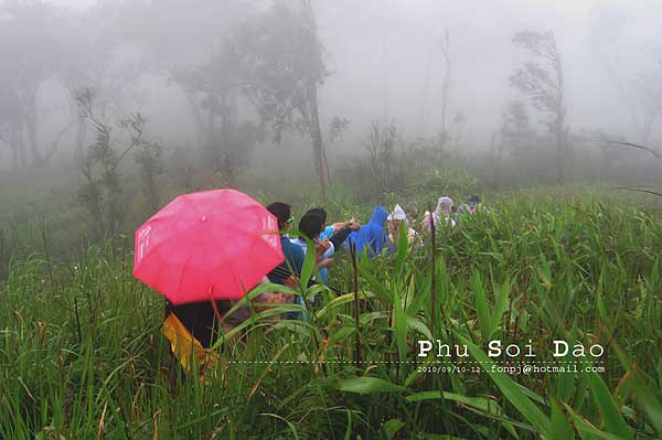 ภูสอยดาว ป่าสงวนแห่งชาติป่าน้ำปาด ท้องที่ตำบลม่วงเจ็ดต้น ตำบลนาขุม ตำบลบ้านโคก อำเภอบ้านโคก ตำบลห้วยมุ่น อำเภอน้ำปาด จังหวัดอุตรดิตถ์ ตำบลบ่อภาค อำเภอชาติตระการ จังหวัดพิษณุโลก
