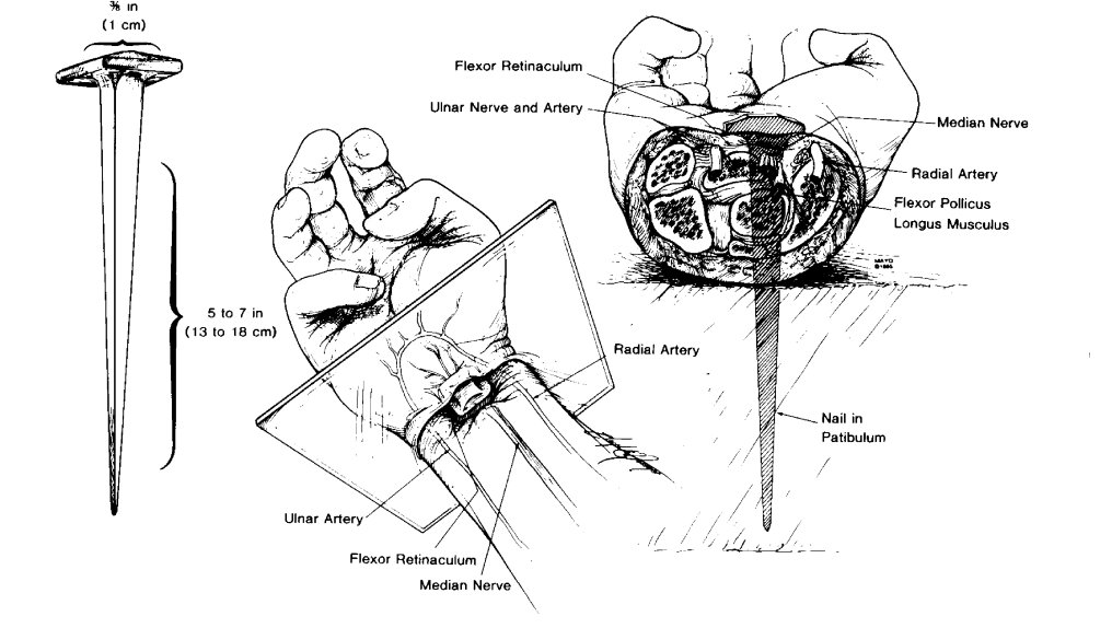 Image result for The Sphere of Protection of human body is a sphere of golden light