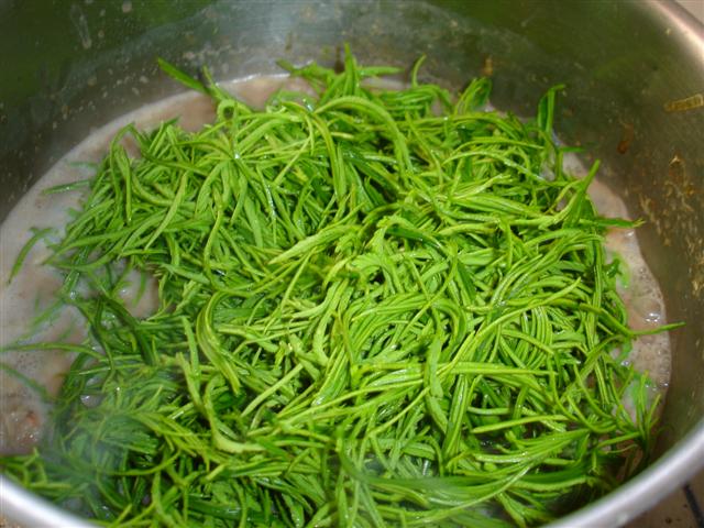 ชะอม
