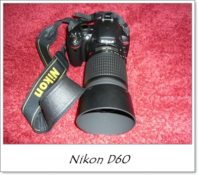 Nikon  Manual on Bloggang Com   Chadapha                               Nikon D60