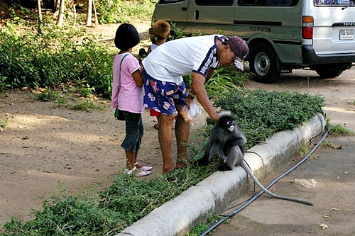 รูปภาพ
