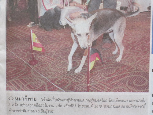 ข่าวสด