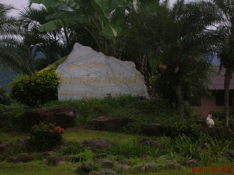 รูปภาพ