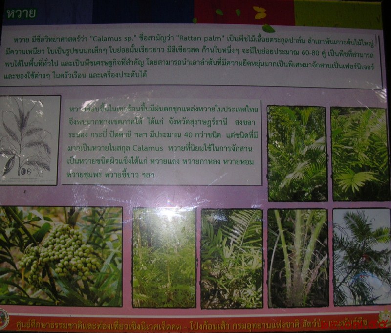 รูปภาพ