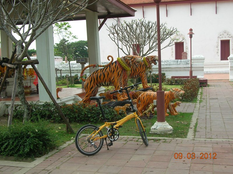 รูปภาพ