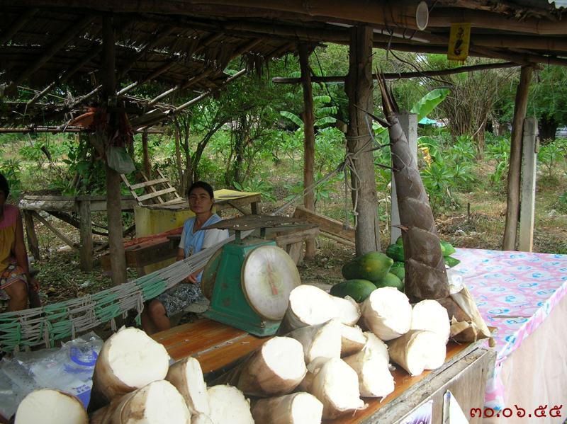 รูปภาพ