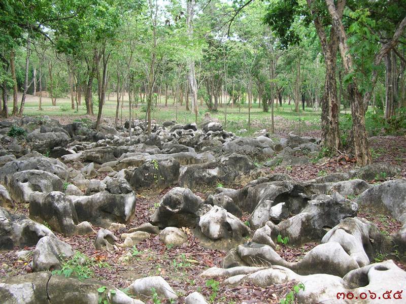รูปภาพ