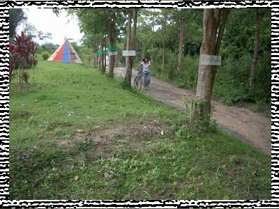 รูปภาพ