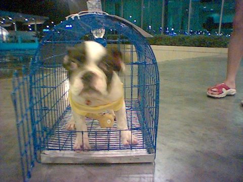 รูปภาพ