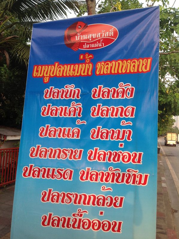 เมนูปลาแม่น้ำ