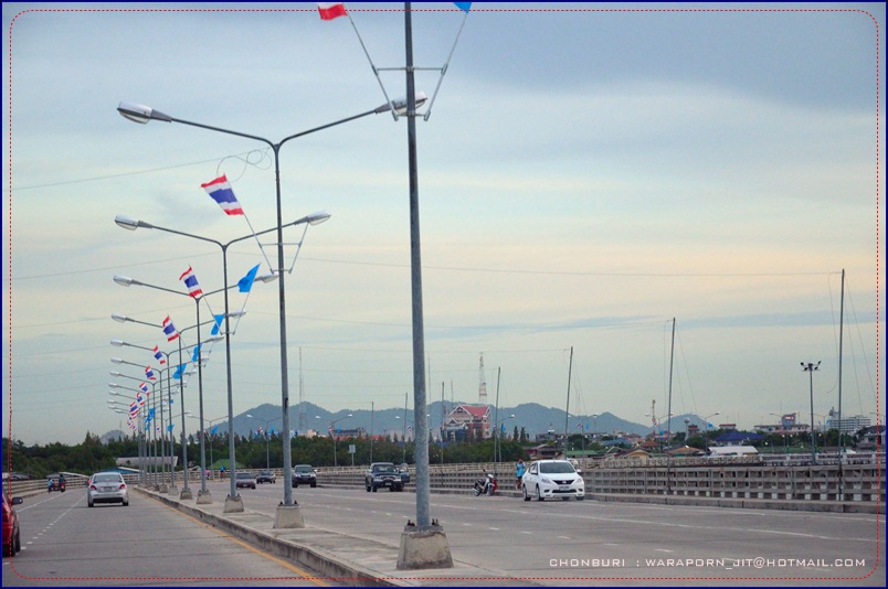 ชลบุรี ท่องเที่ยว ท่าเรือพลี ตลาดประมง ที่เที่ยวชลบุรี เที่ยวไหนดี