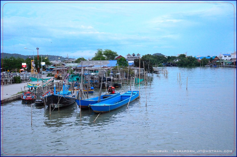 ชลบุรี ท่องเที่ยว ท่าเรือพลี ตลาดประมง ที่เที่ยวชลบุรี เที่ยวไหนดี