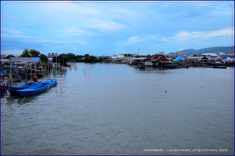 ชลบุรี ท่องเที่ยว ท่าเรือพลี ตลาดประมง ที่เที่ยวชลบุรี เที่ยวไหนดี