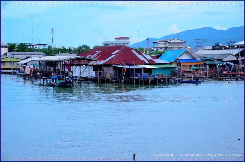 ชลบุรี ท่องเที่ยว ท่าเรือพลี ตลาดประมง ที่เที่ยวชลบุรี เที่ยวไหนดี