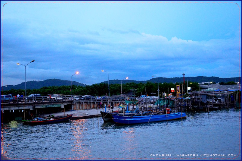 ชลบุรี ท่องเที่ยว ท่าเรือพลี ตลาดประมง ที่เที่ยวชลบุรี เที่ยวไหนดี