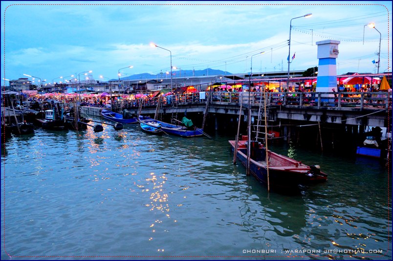 ชลบุรี ท่องเที่ยว ท่าเรือพลี ตลาดประมง ที่เที่ยวชลบุรี เที่ยวไหนดี