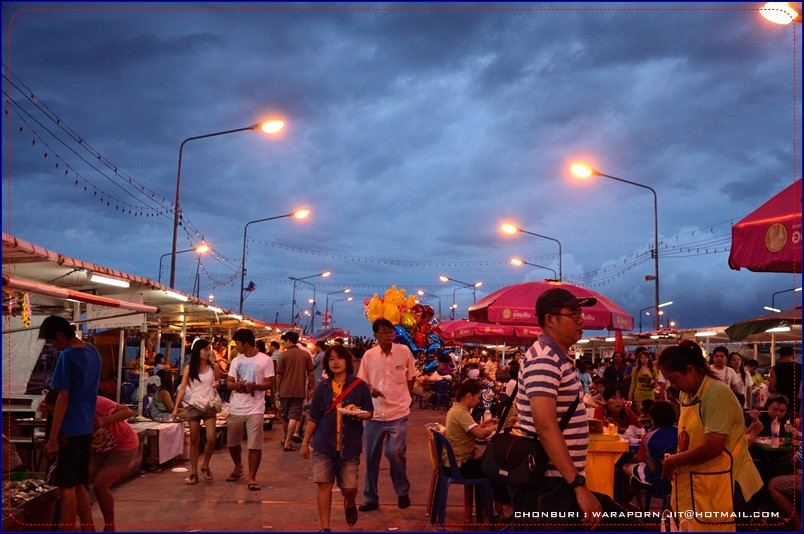 ชลบุรี ท่องเที่ยว ท่าเรือพลี ตลาดประมง ที่เที่ยวชลบุรี เที่ยวไหนดี