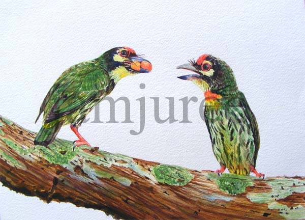 ภาพวาดสีน้ำนกตีทอง