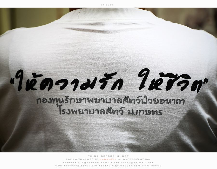 เสื้อโครงการ การกุศลช่วยสัตว์ป่วยอนาถา