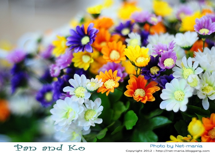 ++Pan & Ko ... ร้านขนมแพนเค้กสไตล์แปลกใหม่ ที่ Mega บางนา++ สมุทรปราการ บางนา แพนเค้ก ขนมเค้ก น้ำผลไม้