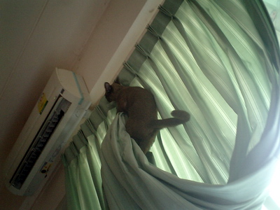 น่านนนนน