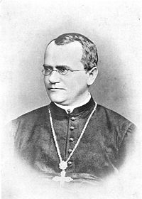 Gregor Mendel เกรเกอร์ เมนเดล