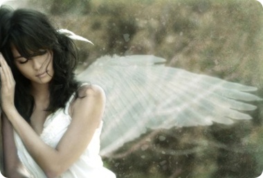 by zalim-code.com 