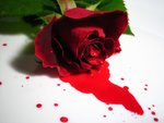blood art,blood,ภาพโหด,ภาพหลอน,ภาพน่ากลัว,ภาพไซโคล