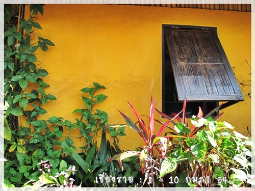 Review... Maesalong Mountain Home @ Chaing Rai 1302428204 Review... Maesalong Mountain Home @ Chaing Rai